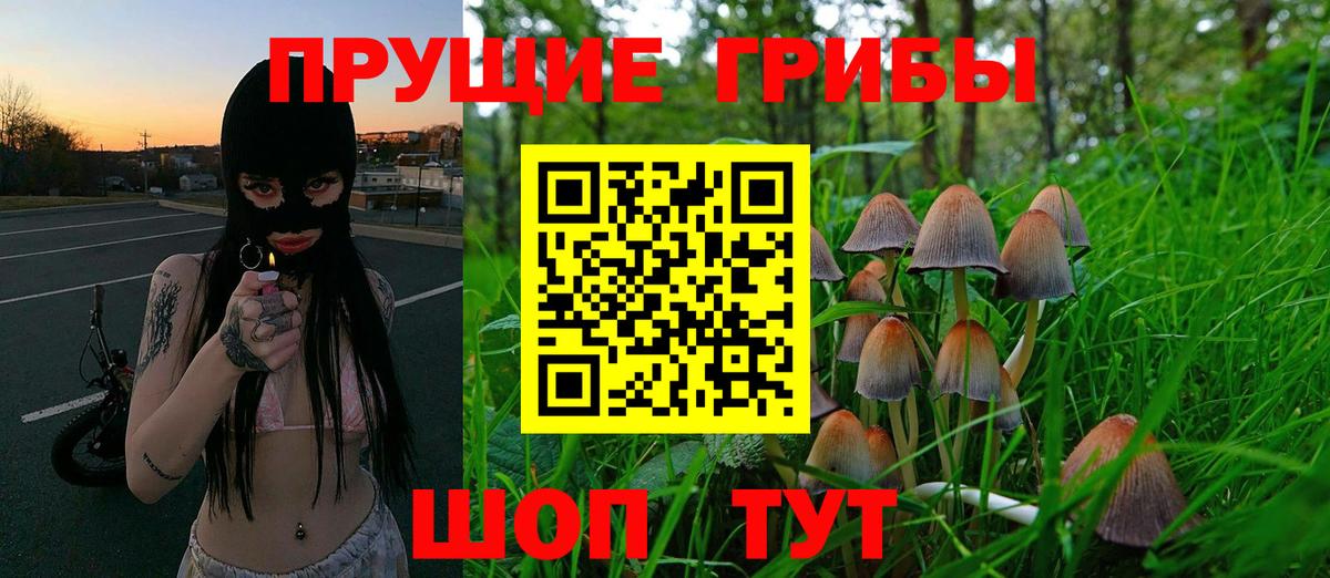 Магнитогорск  Псилоцибиновые грибы прущие грибы  Вход с VPN 