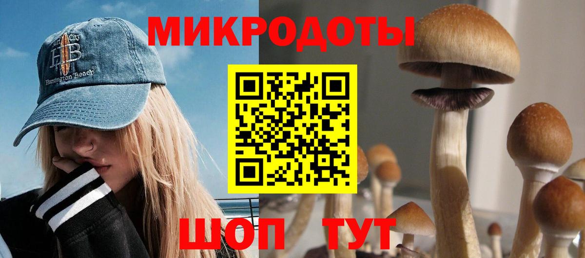 Псилоцибиновые грибы прущие грибы Магнитогорск